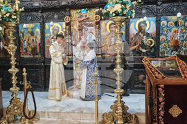 Троян - Троянски манастир - Патриарх Даниил
