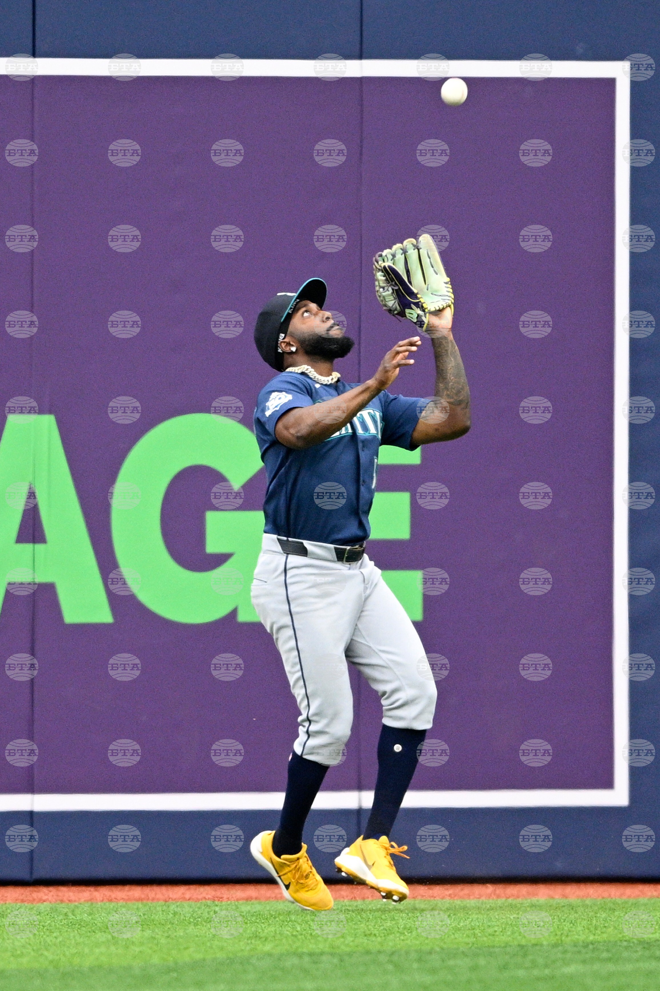 Mariners Rays Baseball