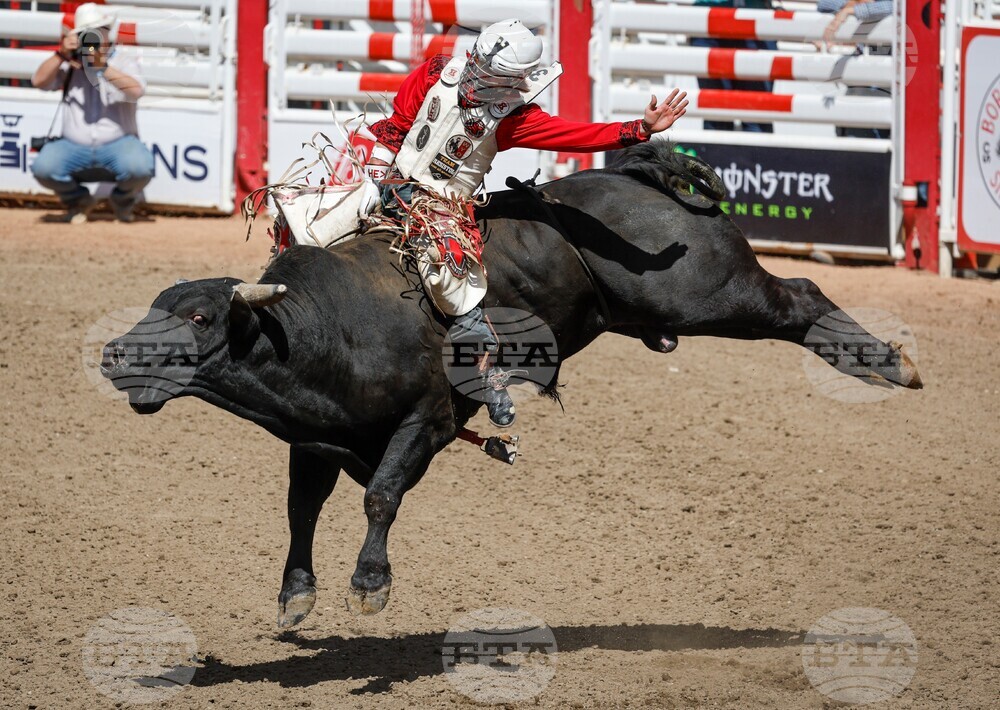 Calgary Stampede