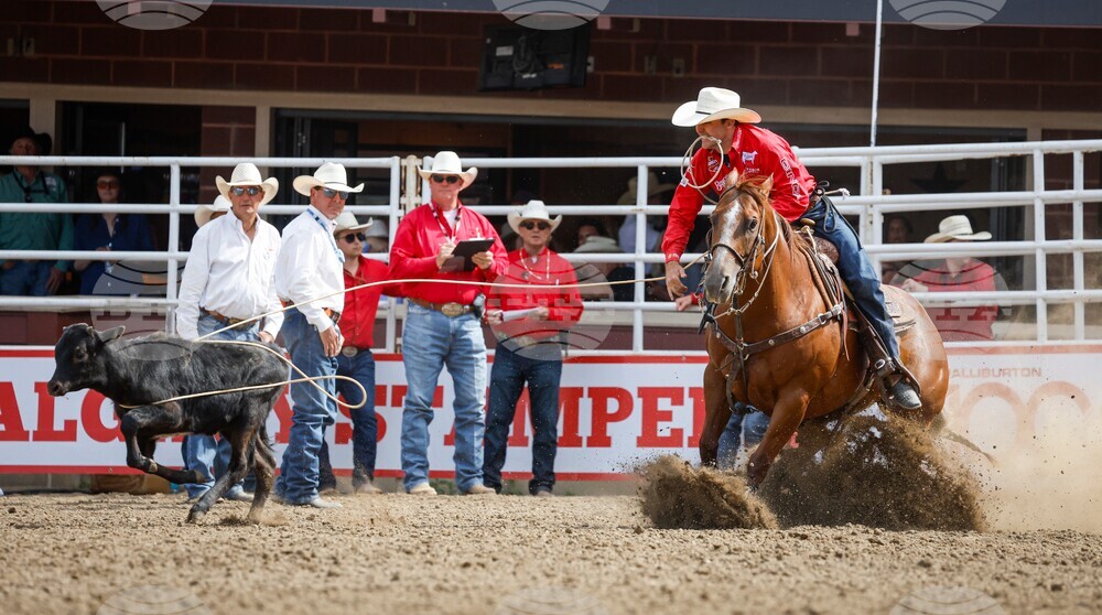 Calgary Stampede Rodeo