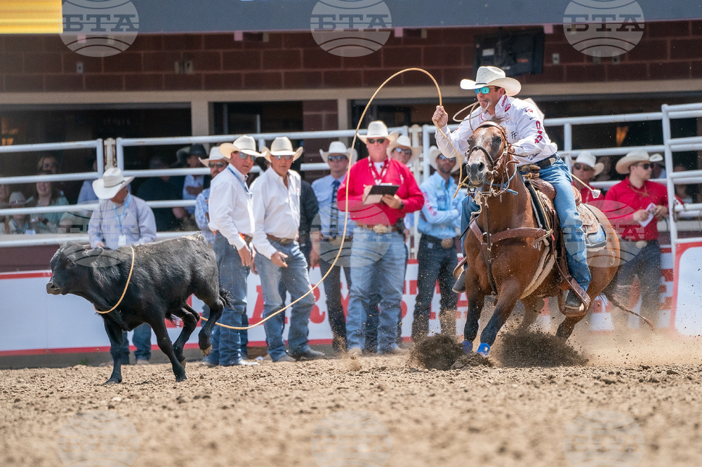 2026 Calgary Stampede
