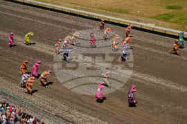 T-Rex Races