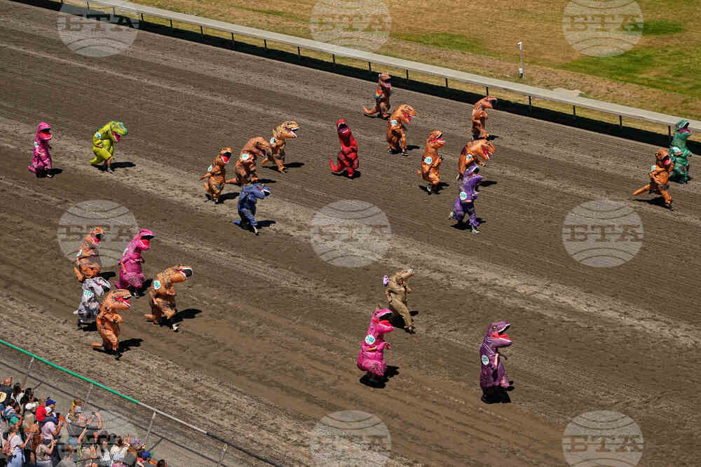 T-Rex Races