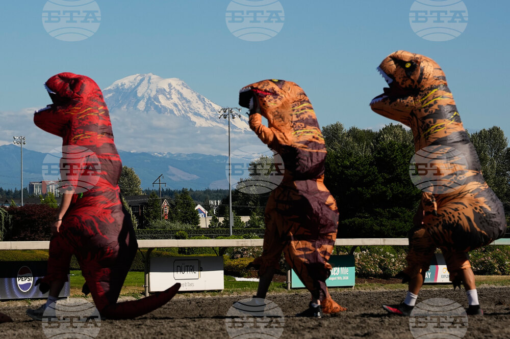 T-Rex Races