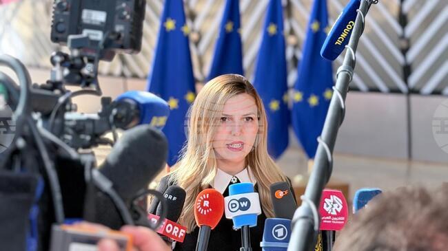 Vazrazhdane Calls for Foreign Minister’s Resignation Over the Government’s Overall Policy