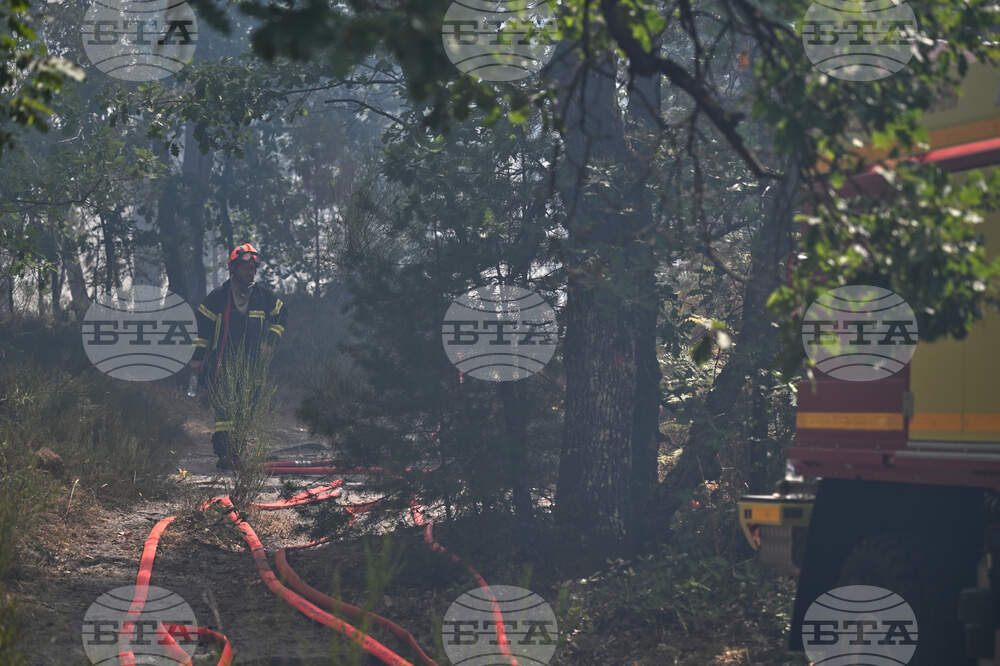 France Wildfires