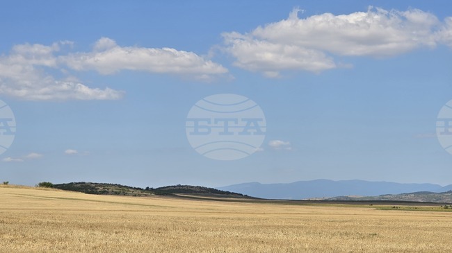 Прогноза за времето 