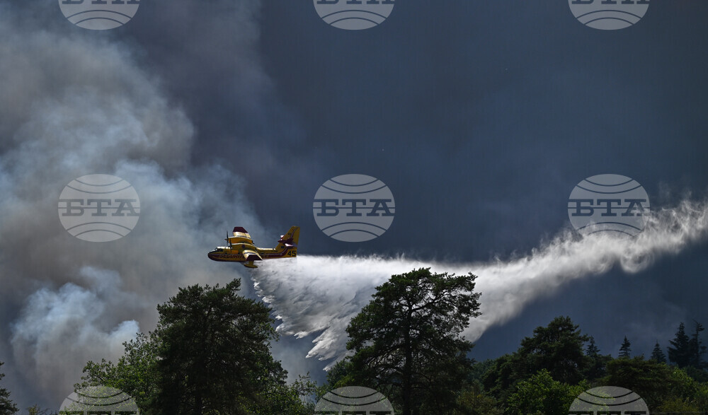 France Wildfires