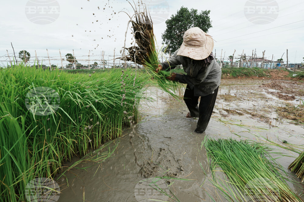 Cambodia Daily Life