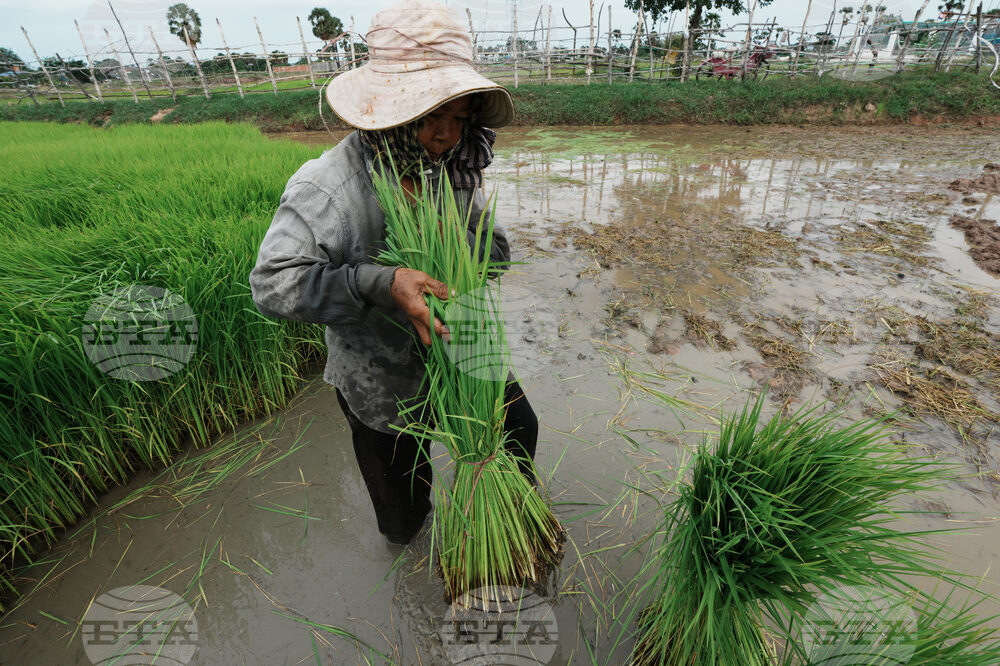 Cambodia Daily Life
