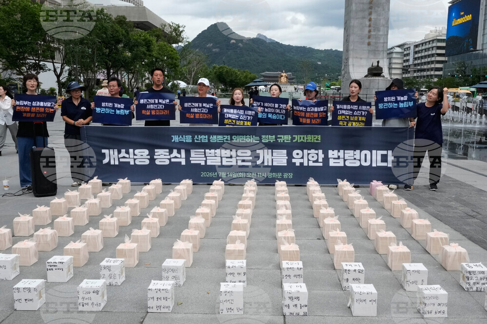 South Korea Dog Meat