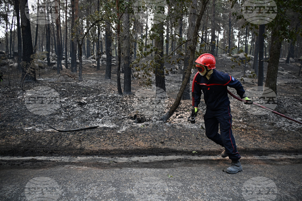 France Wildfires