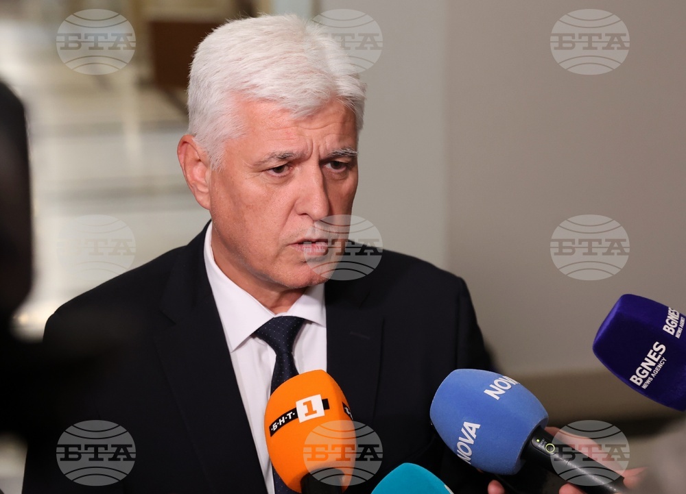 Coalition of the Willing Cannot Move Forward Without Lasting Ukraine-Russia Peace, Bulgarian Defence Minister Says