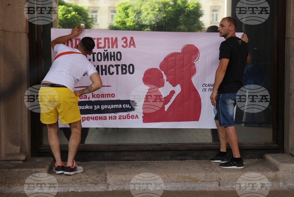 Министерски съвет - майчинство - протест