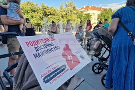 Стара Загора - „Родители за достойно майчинство" - протест