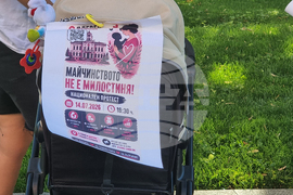Плевен - „Родители за достойно майчинство“ - протест
