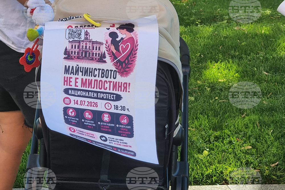 Плевен - „Родители за достойно майчинство“ - протест
