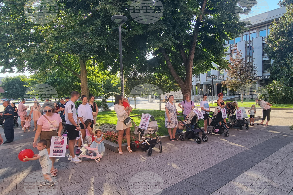 Плевен - „Родители за достойно майчинство“ - протест