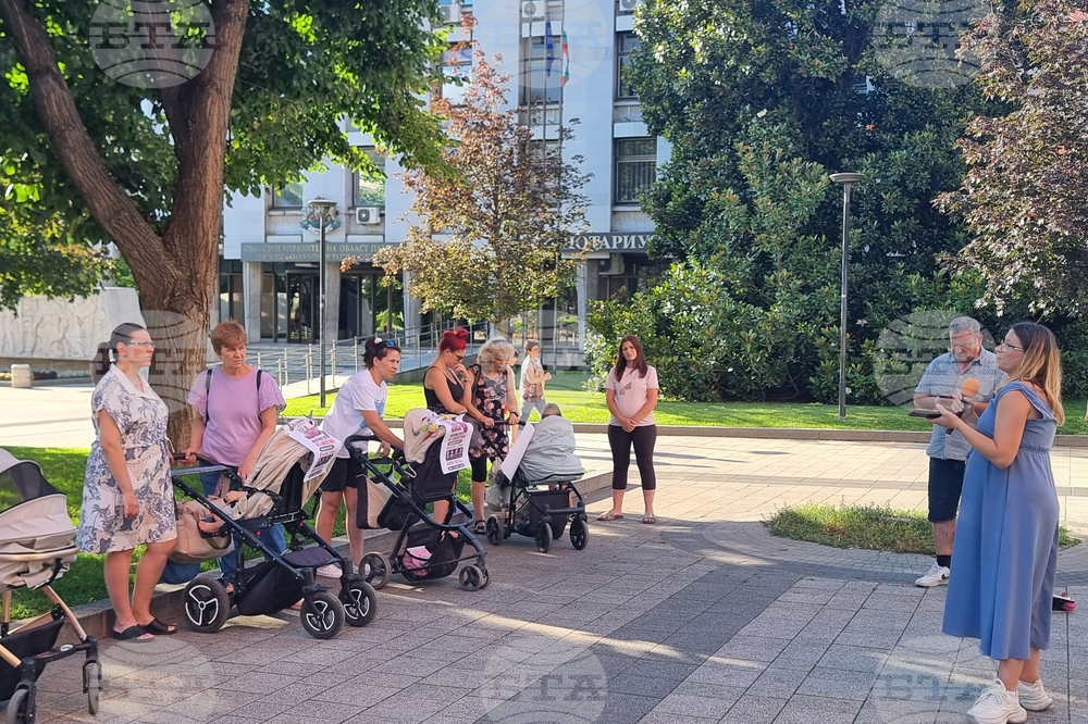 Плевен - „Родители за достойно майчинство“ - протест