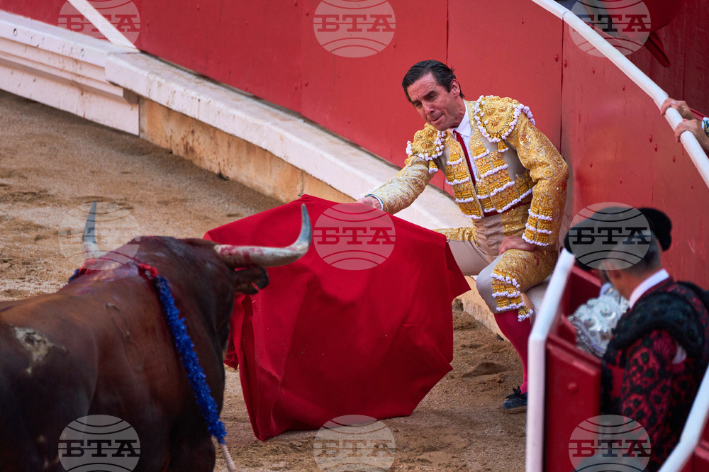 Spain Running of the Bulls