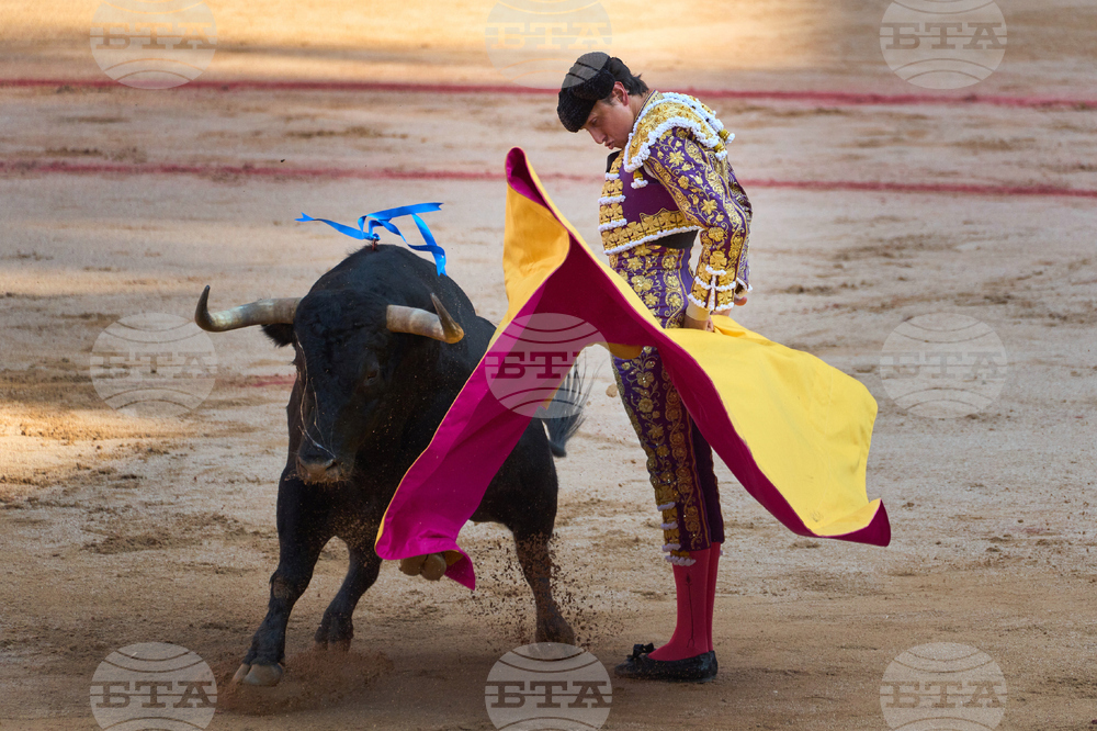 Spain Running of the Bulls