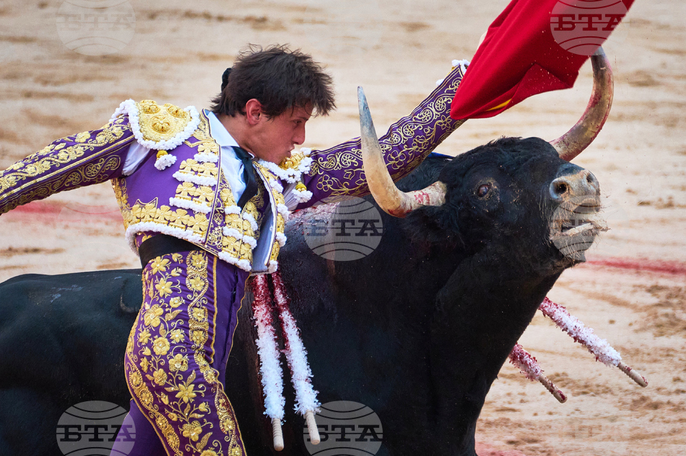 Spain Running of the Bulls
