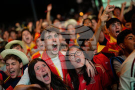Spain France WCup Soccer