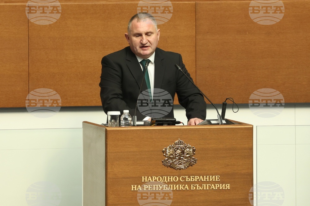 Demographic Policy Requires More Than Short-Term Measures, PB MP Yanev Says
