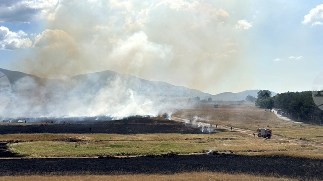 Бали горят в стопански двор в село Марково, община Братя Даскалови