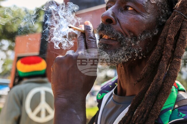 Kenya Marijuana