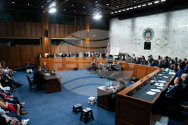 Senate Blanche