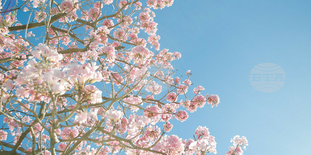 The Weather on March 28
