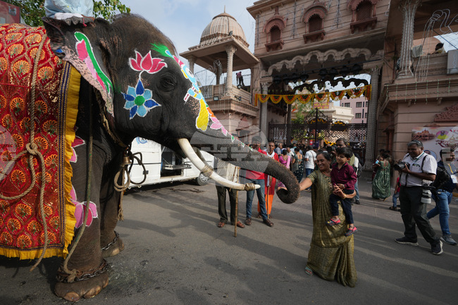 India Chariot Procession