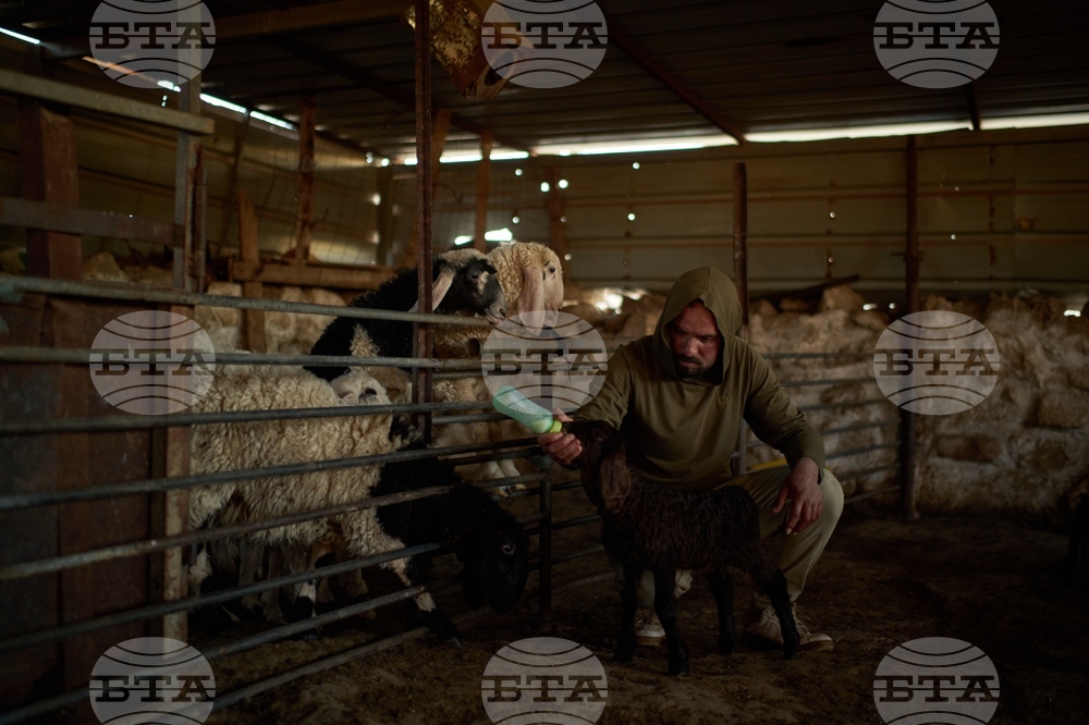 Palestinians West Bank Settlers Photo Essay