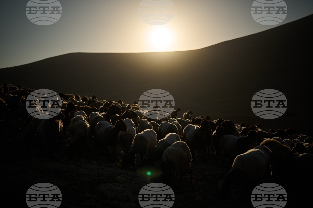 Palestinians West Bank Settlers Photo Essay
