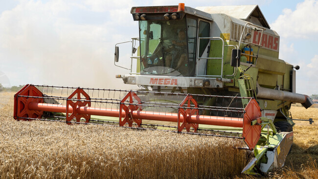 Sofia Commodity Exchange: World Wheat Prices up 25%, Following Attacks by Ukraine and Russia on Black Sea Export Infrastructure