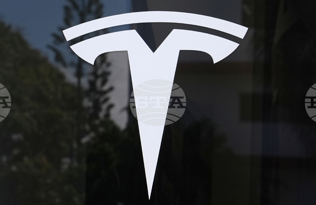 Tesla Crash Probe