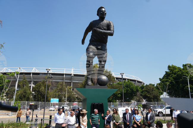 Pelé Jersey Sale Soccer