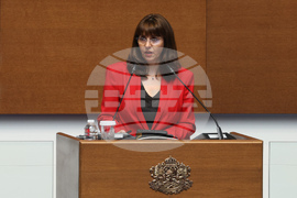 Народно събрание - парламентарен контрол