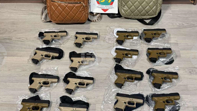 Customs Officials Detain Two Georgians for Smuggling Firearms