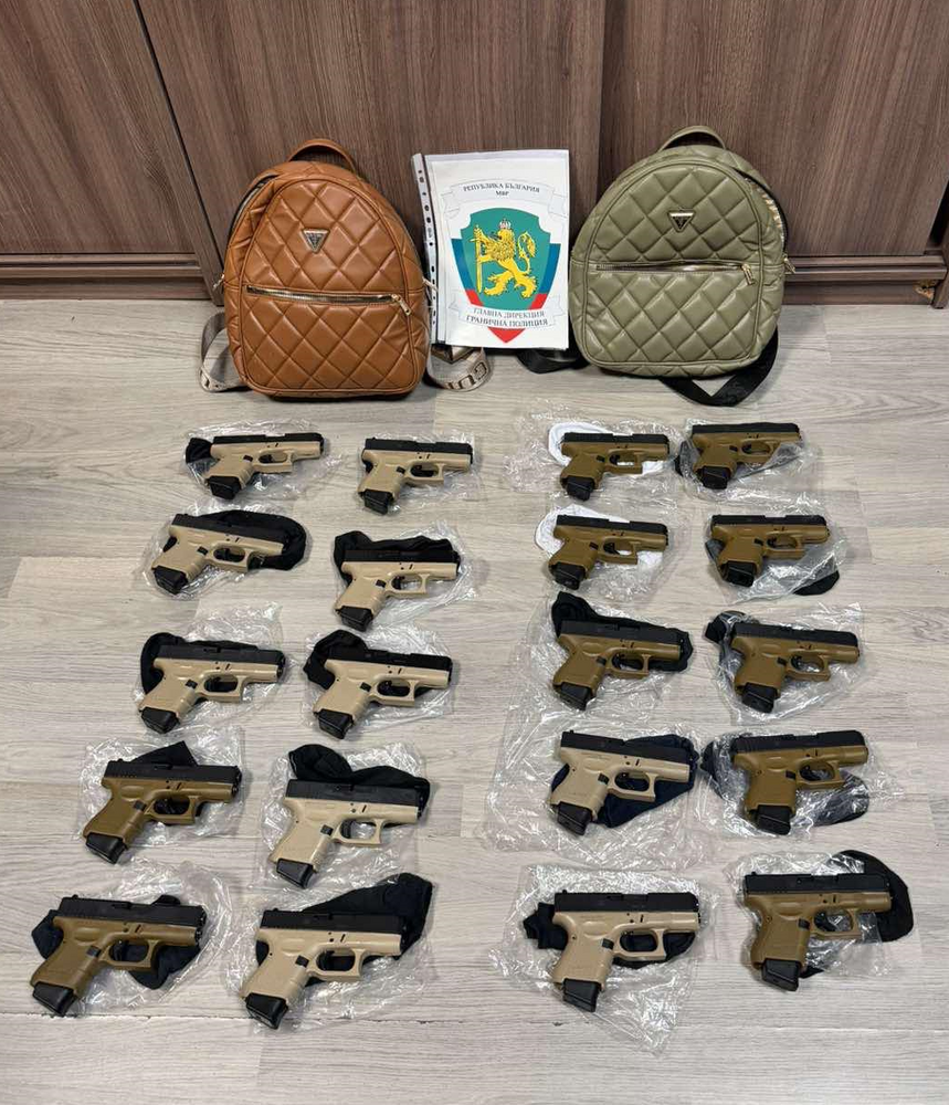 Customs Officials Detain Two Georgians for Firearms Smuggling