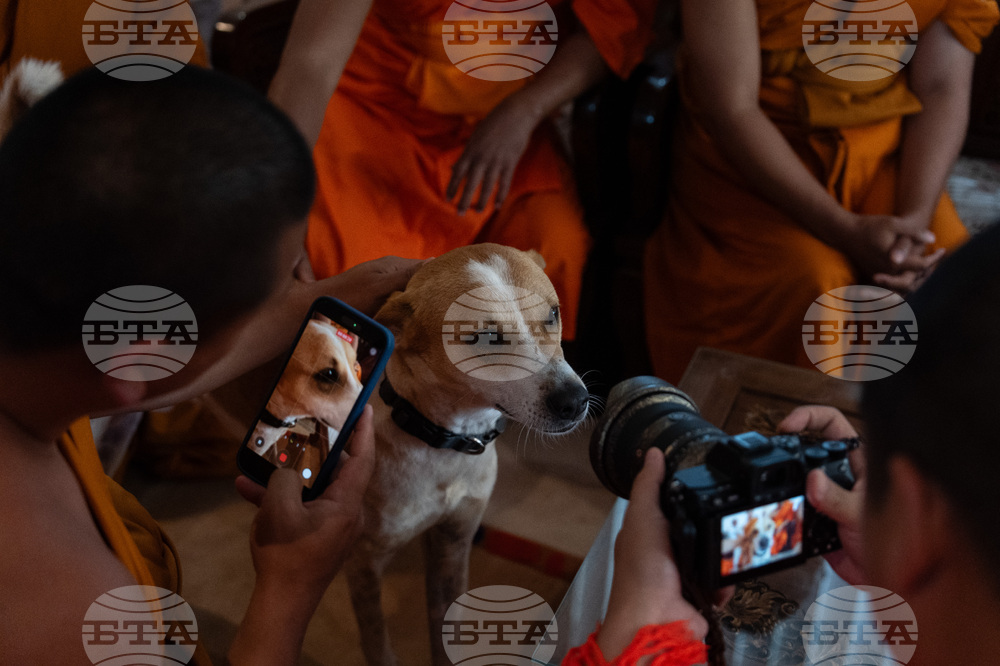 Walk for Peace Buddhist Monk