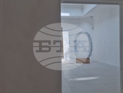 Павилионът на САЩ на 61-ото Венецианско биенале. Снимка: Ваня Сухарова/БТА