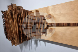 Варна - творческа група Arena ART Wood - изложба „Резонанси“