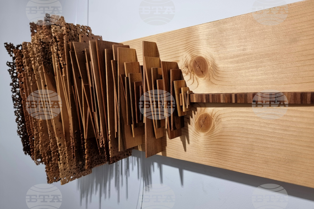 Варна - творческа група Arena ART Wood - изложба „Резонанси“