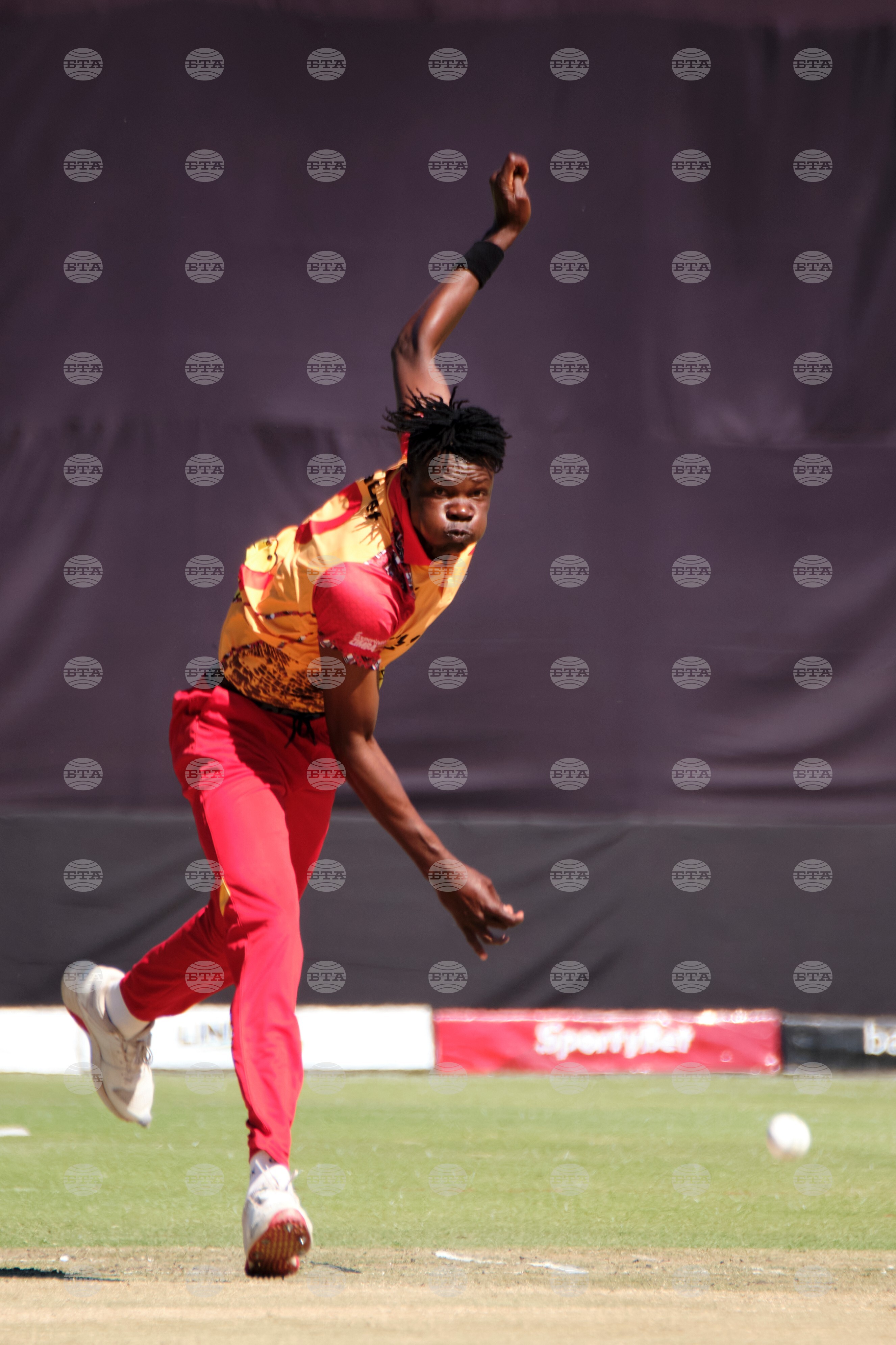Zimbabwe Bangladesh Cricket