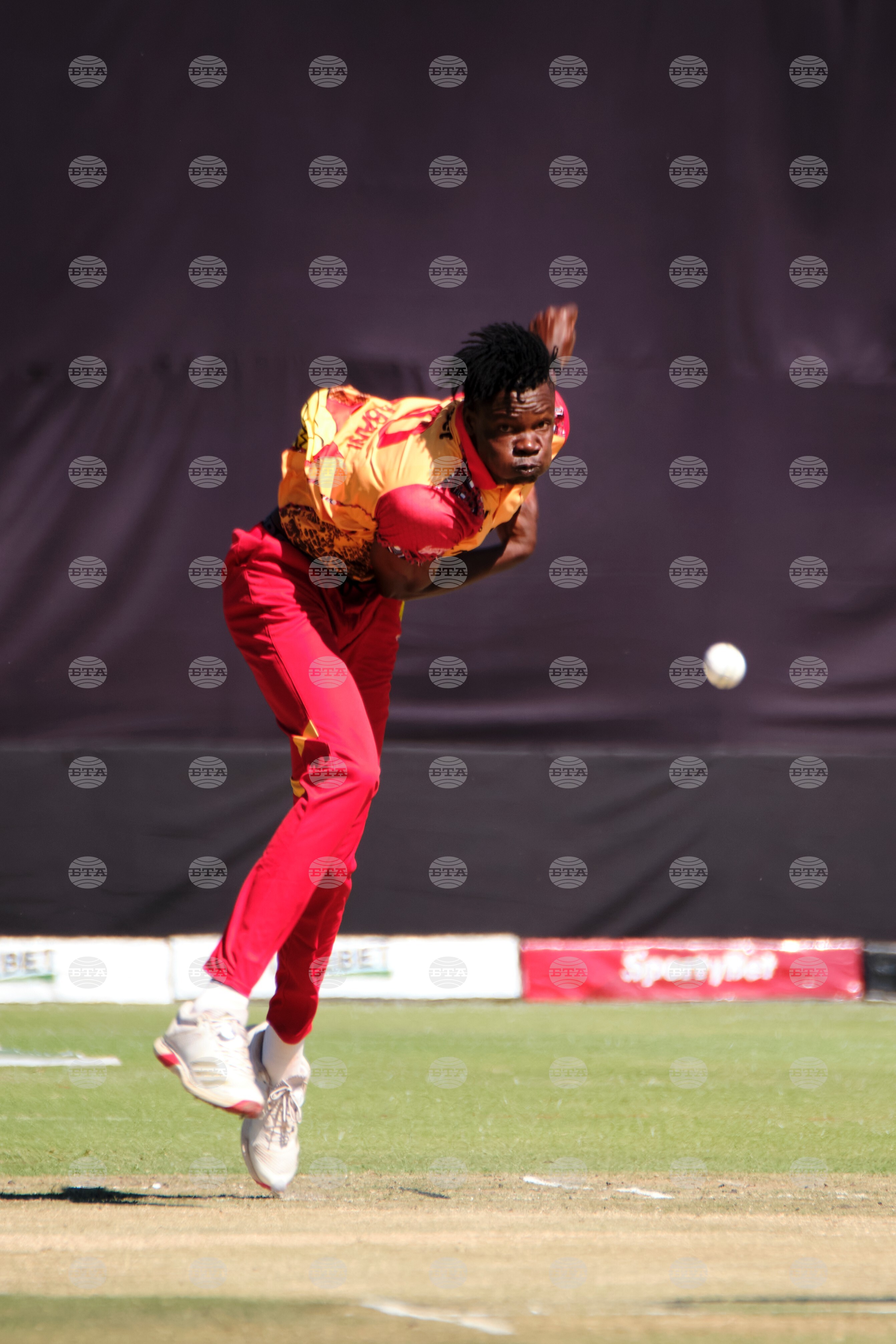 Zimbabwe Bangladesh Cricket