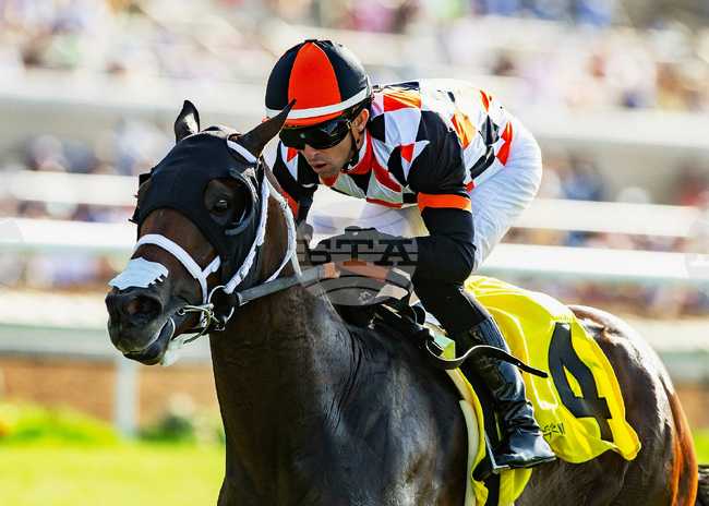 Del Mar Horse Racing