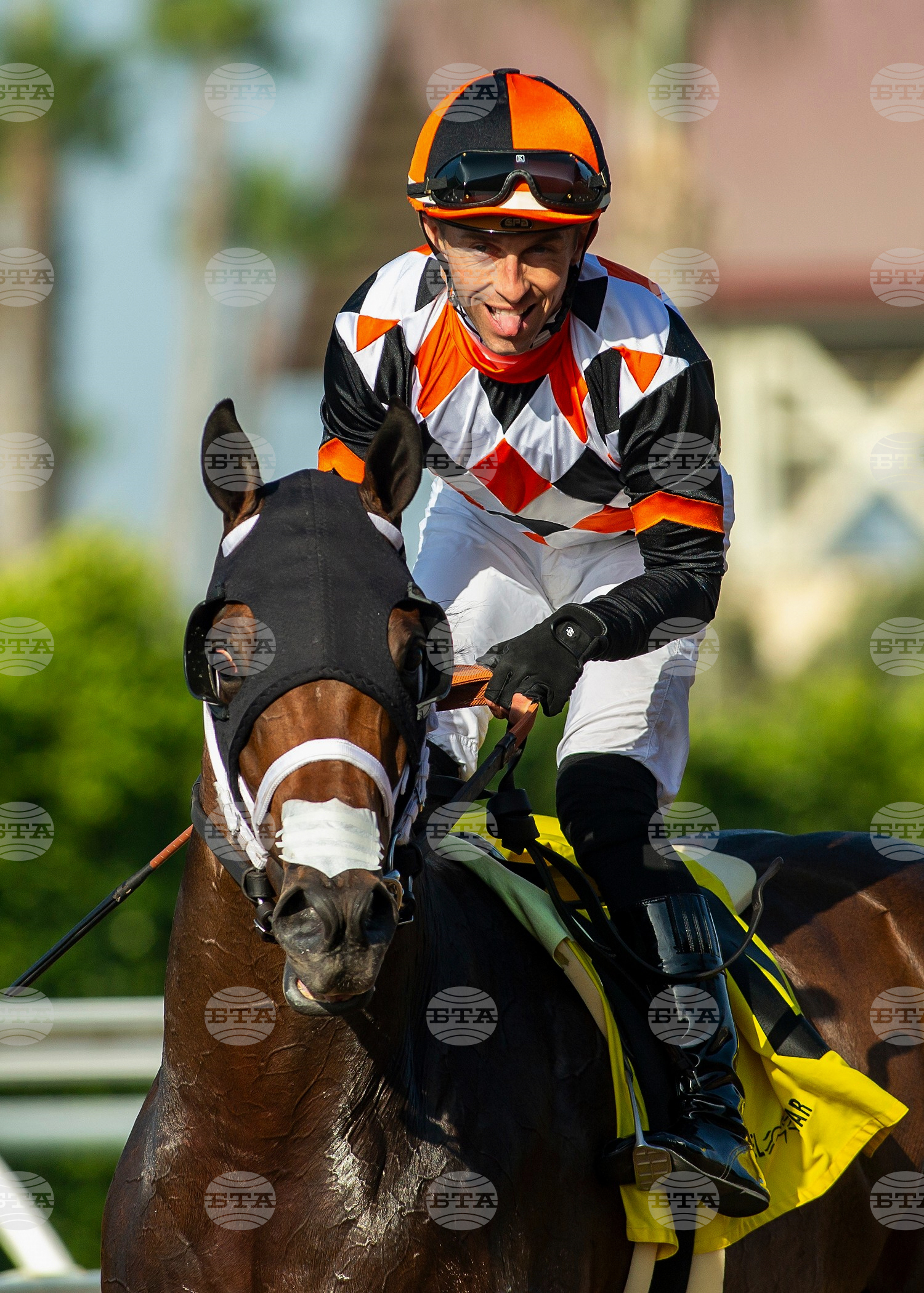 Del Mar Horse Racing
