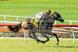 Del Mar Horse Racing